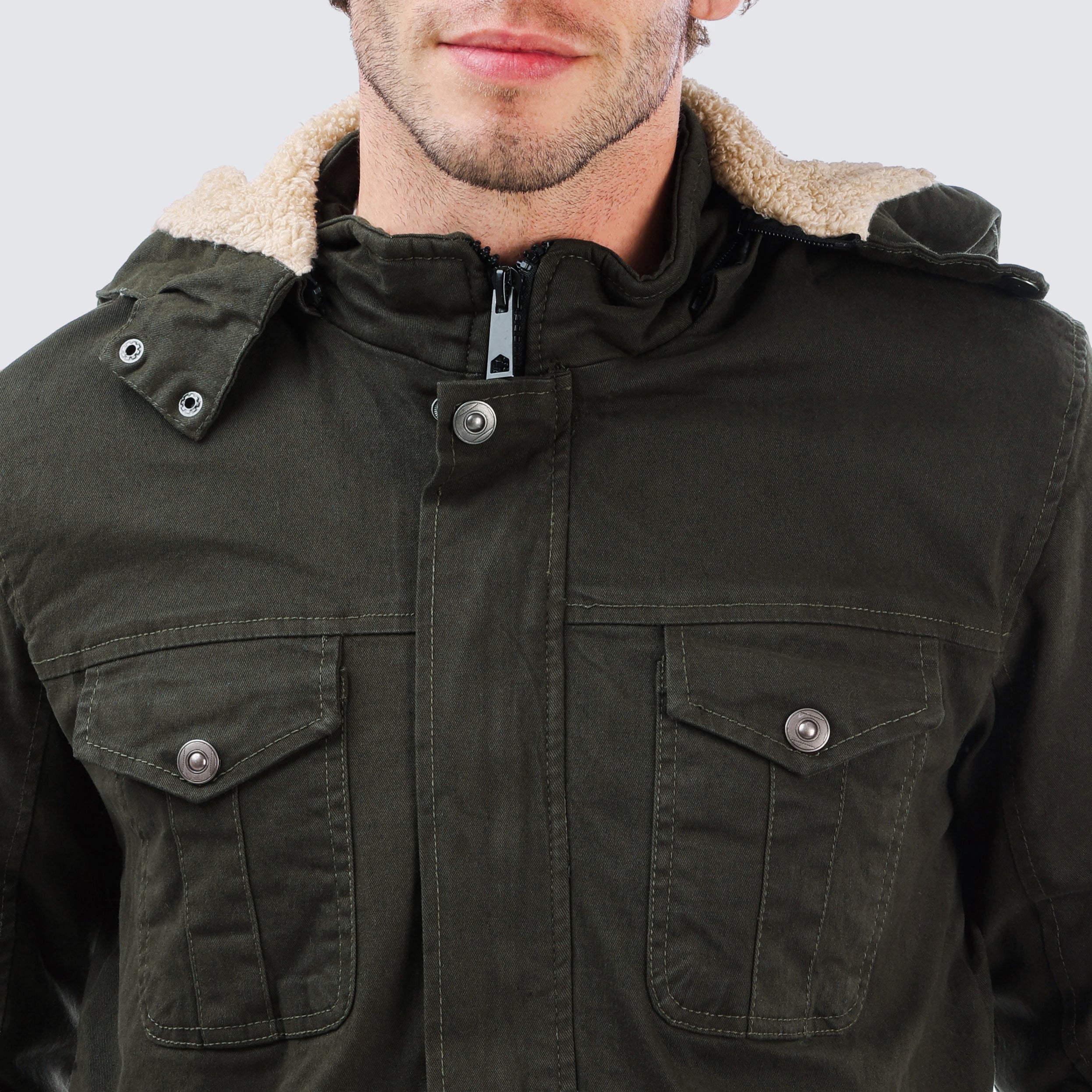 Gabardine Bear